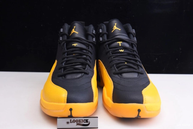 Air University 130690-070 Gold Jordan 12 Black Retro 0724